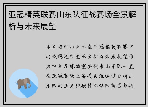 亚冠精英联赛山东队征战赛场全景解析与未来展望