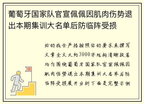 葡萄牙国家队官宣佩佩因肌肉伤势退出本期集训大名单后防临阵受损