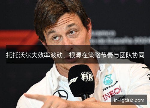 托托沃尔夫效率波动，根源在策略节奏与团队协同